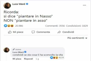 Piantare Asso Nasso Ward