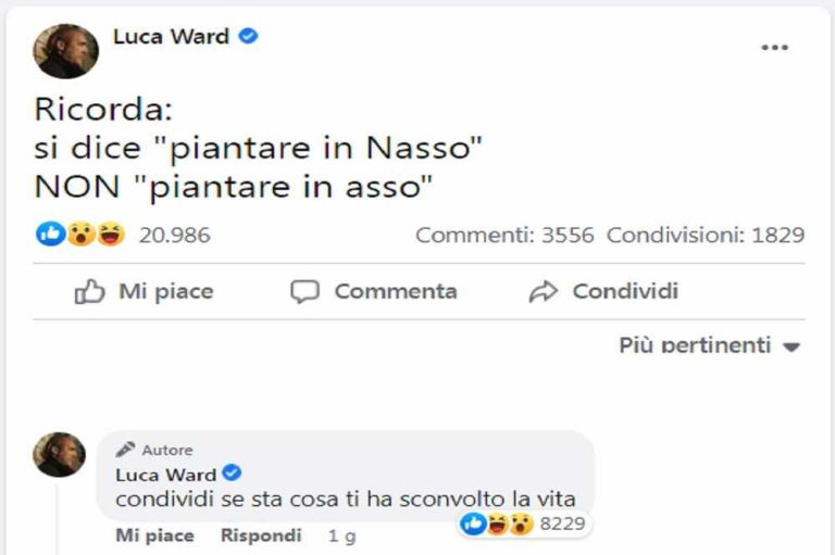 piantare asso nasso ward